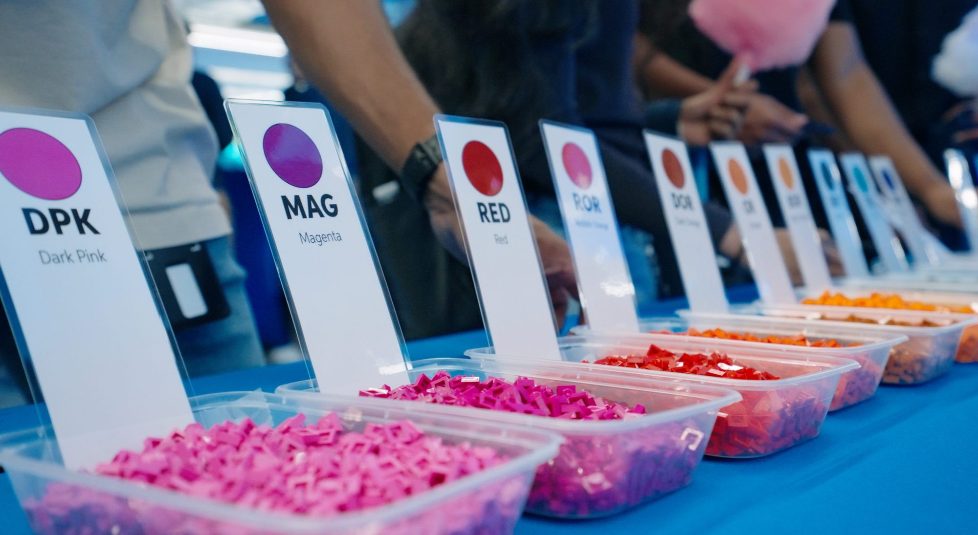 Colored building pieces sorted into labeled trays